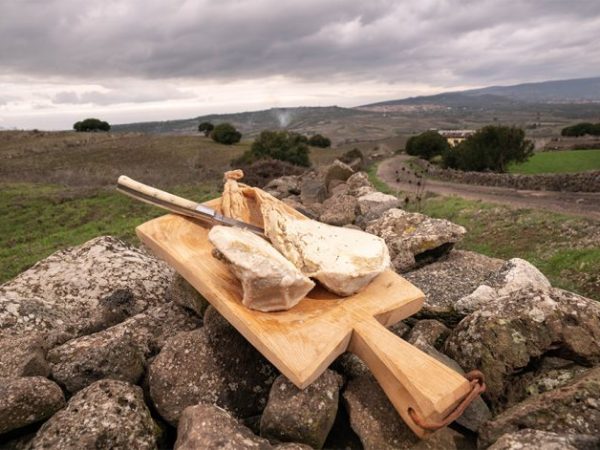 Su callu ‘e crabittu, il formaggio spalmabile più antico del mondo che arriva dalla&nbsp;Sardegna