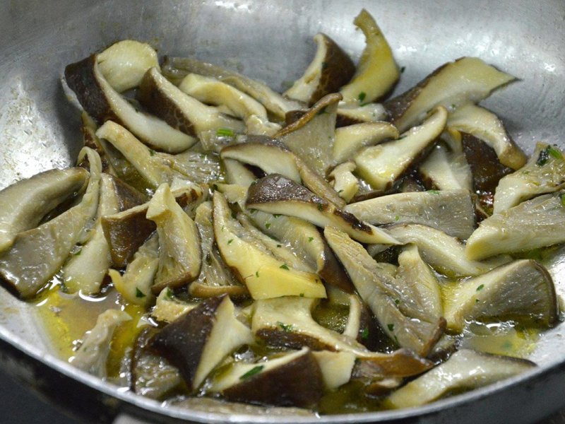 Funghi antunna in&nbsp;verde